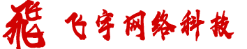 飞宇网络科技有限公司